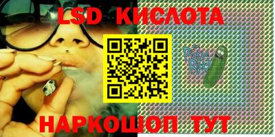 гашик Славгород