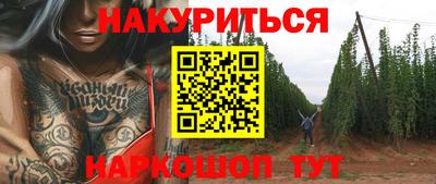 гашик Славгород
