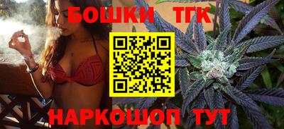 МДПВ Сланцы