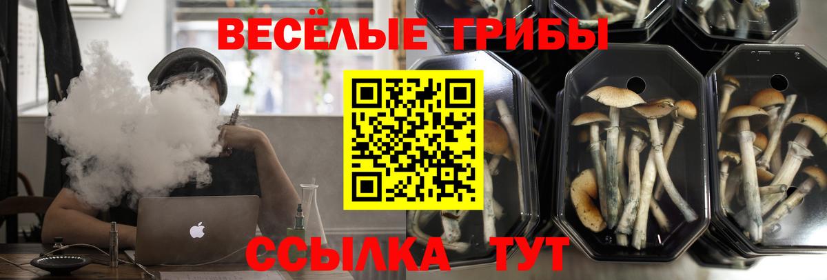 Галлюциногенные грибы Psilocybe  Псилоцибиновые грибы MAGIC MUSHROOMS  Вход с VPN  Рузаевка 