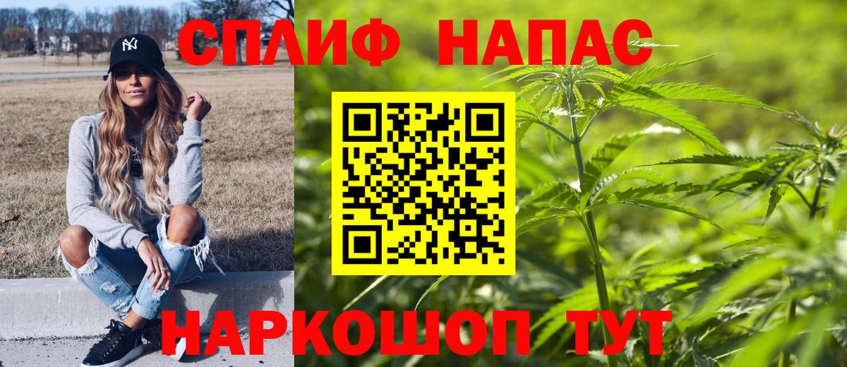 Конопля MAZAR Рузаевка